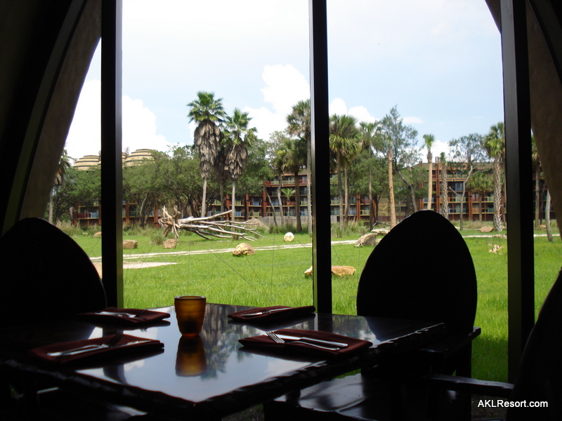 Sanaa Savanna View